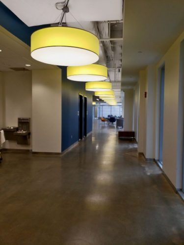 BROWNLEE – HIGHLIGHTER